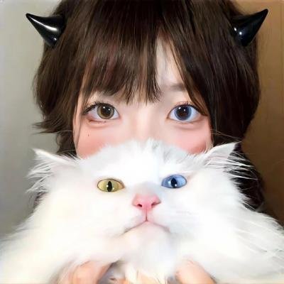 调查者：仅供执勤
